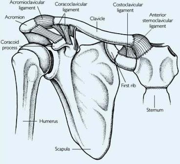 A/C Joint Sprain Rehabilitation