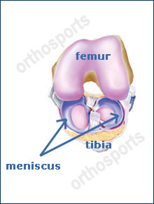 Orthosports Knee ukr