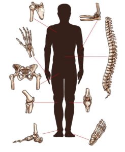 Search For Surgeries By Body Part, Orthosports Orthopaedic Surgeons
