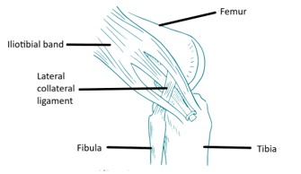 Iliotibial Band Tenodesis, ACL Surgery